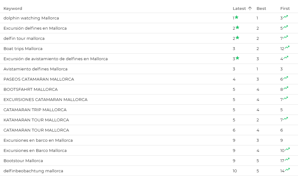 SEO para tours maritimos y avistamientos